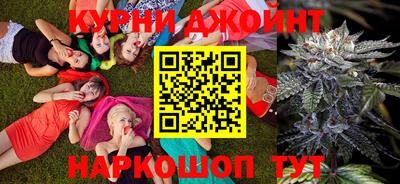 сатива Абакан