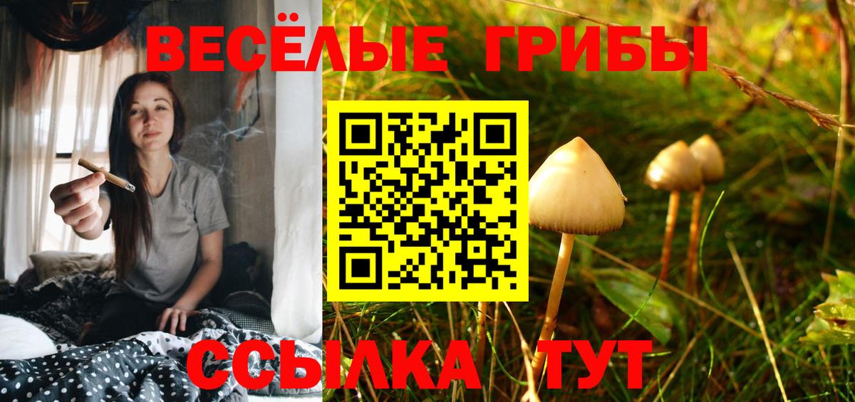Алатырь  Галлюциногенные грибы прущие грибы  Вход с VPN  Галлюциногенные грибы Psilocybe 